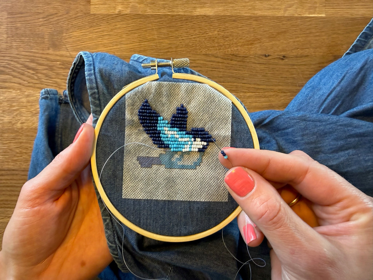 Mini-startpakke: Fugl